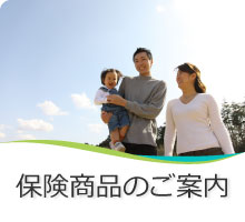 保険商品のご案内